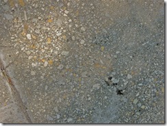 sidewalk 6