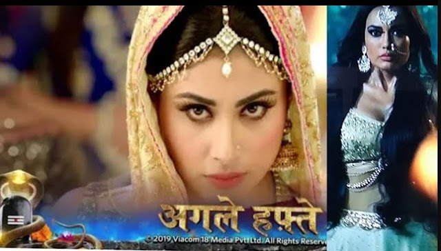 High Voltage Drama : Mihir Tamsi's marriage twist Shravani's naagin syappa in Naagin 3