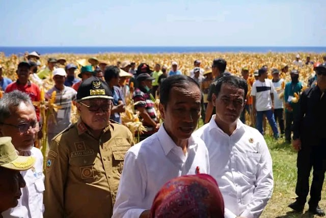 Jokowi Dorong Industrialisasi Pertanian di Kabupaten Sumbawa