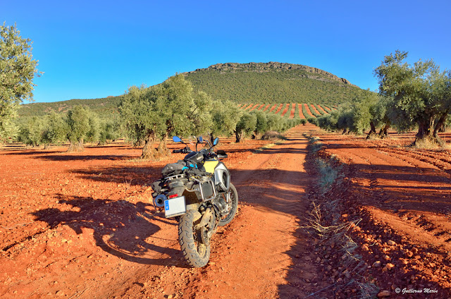 BMW F800GS Adventure. Trail Forever: Castillos y Olivos