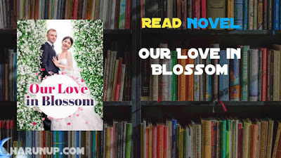 Read Our Love in Blossom Novel Full Episode