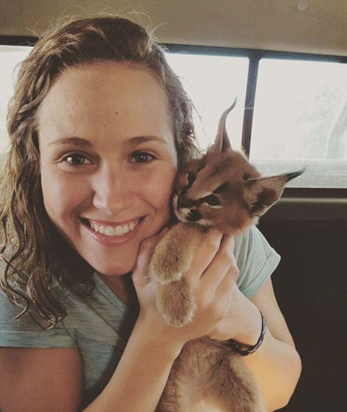 Beautiful Pictures Of Baby Caracals, One Of The Most Gorgeous Cat Species Ever