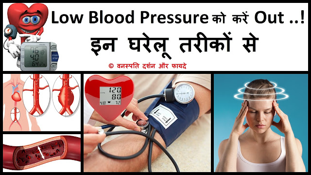 Low Blood Pressure ko Karen Out Inn Ghrelu Tarikon se