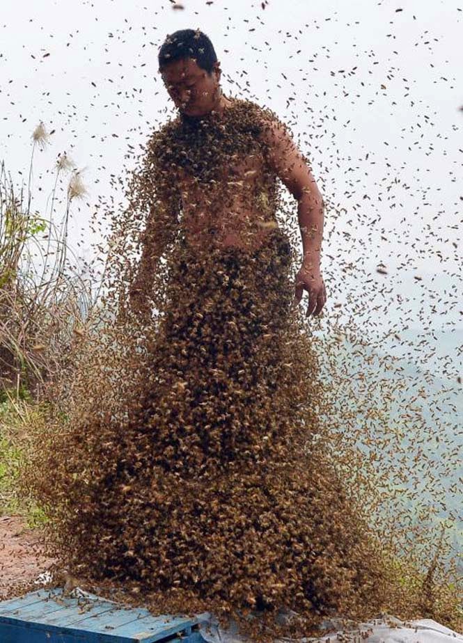 tromaktiko Ένας Κινέζος αποφάσισε να καλύψει το σώμα του με 460.000 μέλισσες   Δείτε το αποτέλεσμα… [photos]