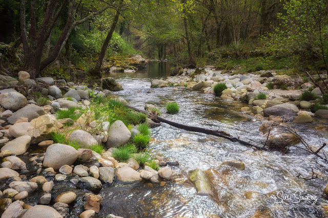 Termas de Prexigueiro y su circuito Zen