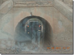 DSCN5113
