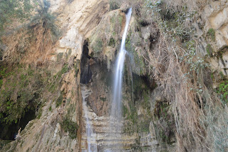 Cataratas de David (David Wadi), Ein Gedi