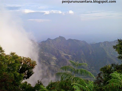 puncak 29 gunung muria