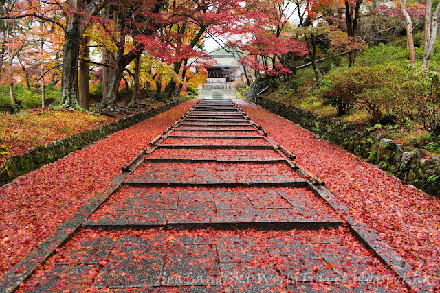 紅葉昆沙門堂