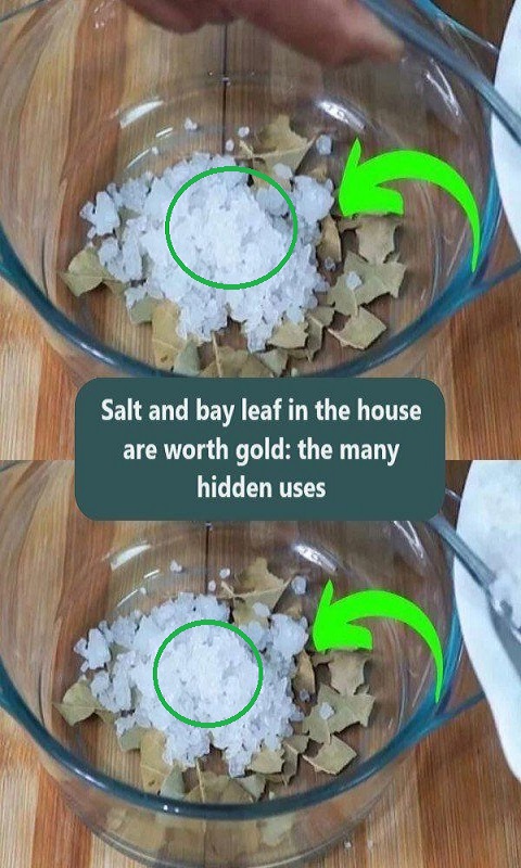 Salt and bay leaf in the house are worth gold: the many hidden uses