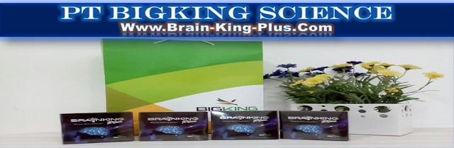 http://www.brain-king-plus.com/