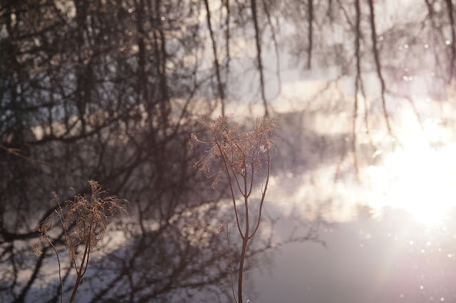 Spring in Norfolk