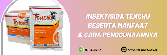 pestisida jenis insektisida,hama,serangga,hama serangga,lmga agro