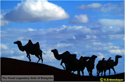 Mongolian Gobi Desert