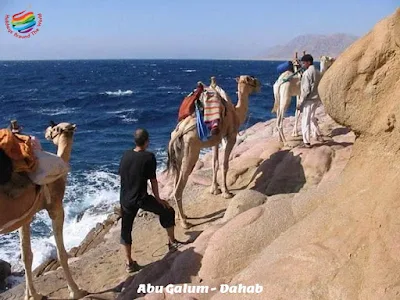 Abu Galum - Dahab