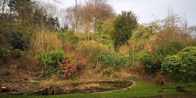 Photograph of a wide variety of different shrubs, covering a large slope behind a stagnant-looking artificial pond.
