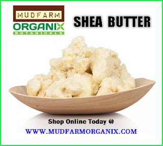 Toronto Shea Butter