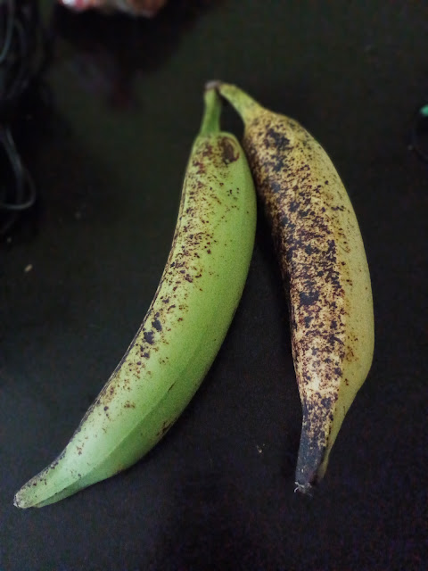 PISANG TANDUK