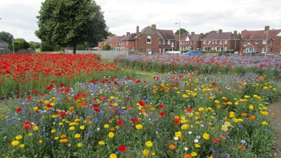 Gloucester  displays of Euroflor Flanders poppies with Alliance and Hope flower mixes. www.rigbytaylor.com1