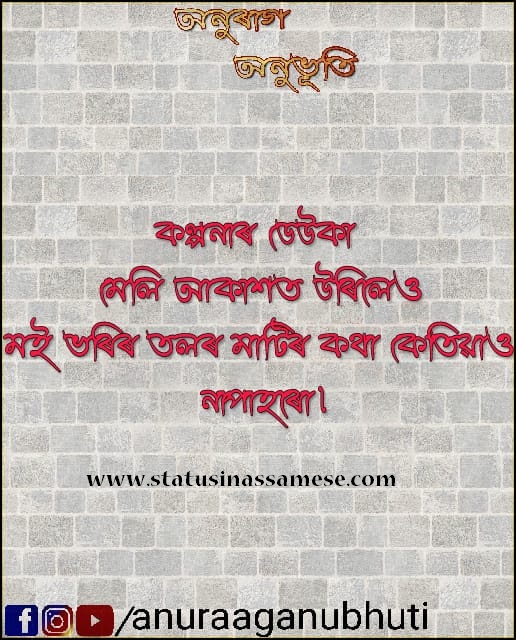  Assames Photo Status | কল্পনাৰ ডেউকা...