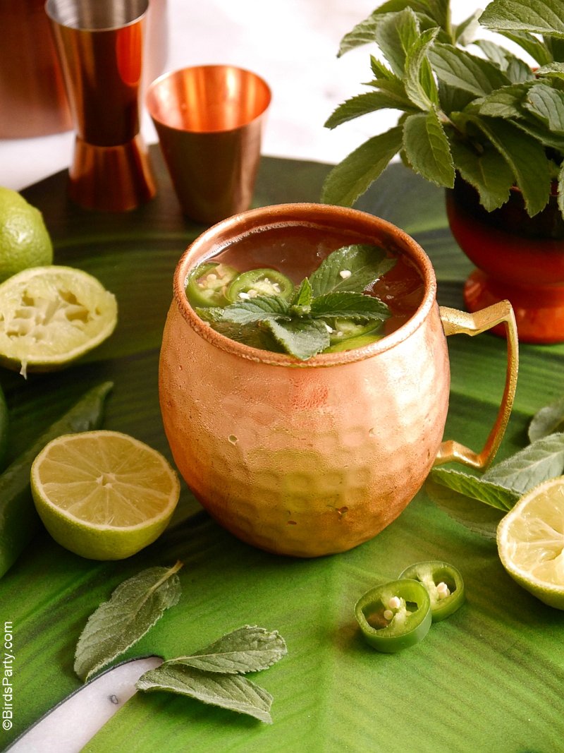 Recette de Cocktail Mule Mexicain - une recette facile et rapide avec de la Tequila et des épices pour vos apéros d'été ou une fête Mexicaine! by BirdsParty.fr @birdsparty #cocktail #apero #recetteapero #paeritifdinatoire #cocktailmexicain #fetemexicaine