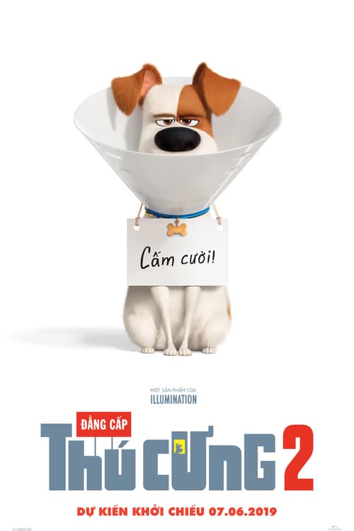 Pets 2 - Vita da animali 2019 Film Completo In Italiano