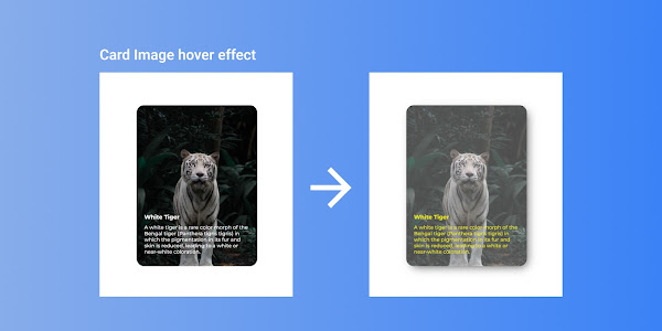 Card Image hover effect | Components