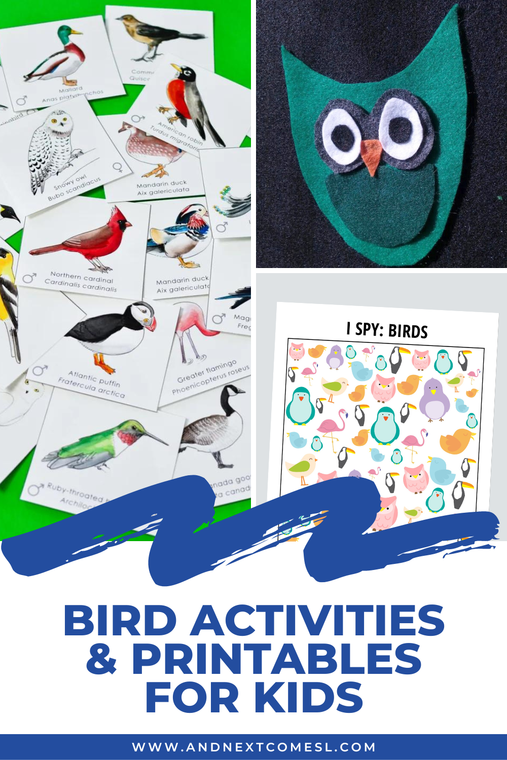 Fun and educational bird activities and printables for toddlers, preschoolers, and older kids