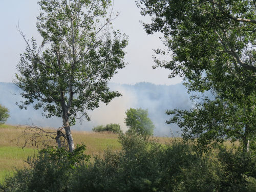 grass fire