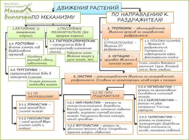 схема-движения-растений-тропизмы-настии-нутации