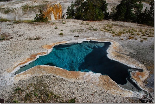 08-08-14 B Yellowstone NP (136)