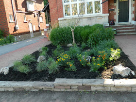 Midtown Toronto Front Garden Cleanup After by Paul Jung Gardening Services Inc.--a Toronto Gardening Company