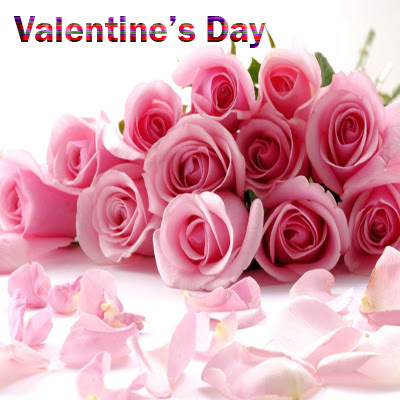 Romantic Pink Roses on Valentines Day Images