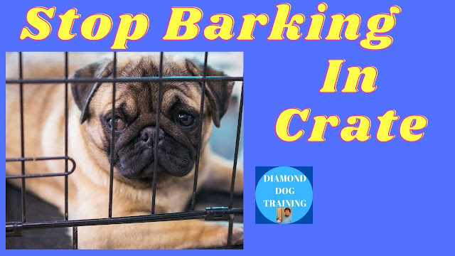How to Stop a Dog From Barking in a Crate