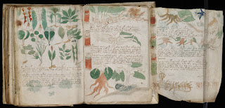 Part of the Voynich Manuscript