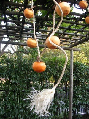 Balcony Garden