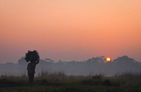 https://kothalekha.blogspot.com/2020/08/A Winter Morning.html