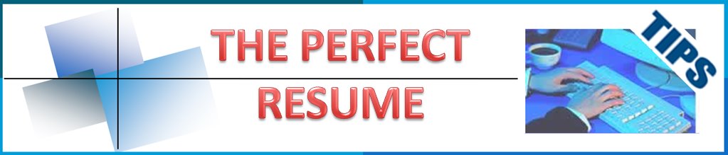 The Perfect Resume