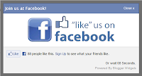 Cara Membuat Likebox Facebook Menggunakan Waktu Pada Blog