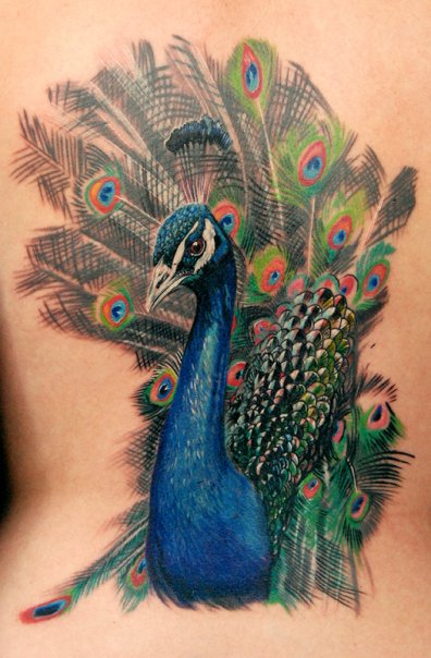 Back Tattoo Peacock Tattoos