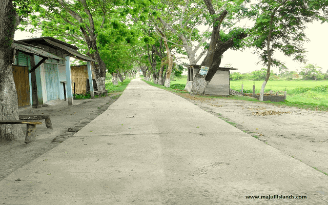 Dakhinpat Satra Road Of Majuli Island