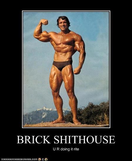 Brick Shithouse5