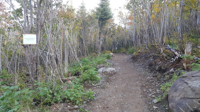 Sentier le mont Albert