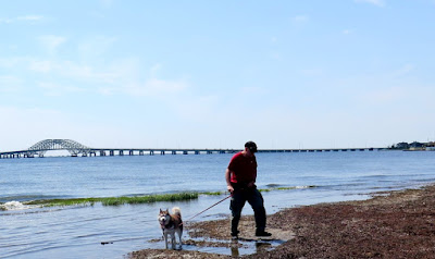 Gardiner County Park and Beach in Bay Shore Long Island, NY opens up to the Great South Bay  #dogfriendly