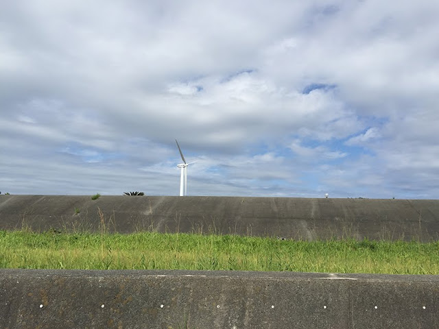 静岡県御前崎海岸　石拾い