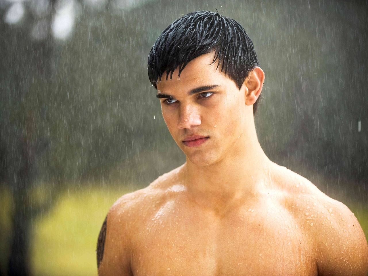 Wallpaper Taylor Lautner Papel de Parede - Boneco Doido