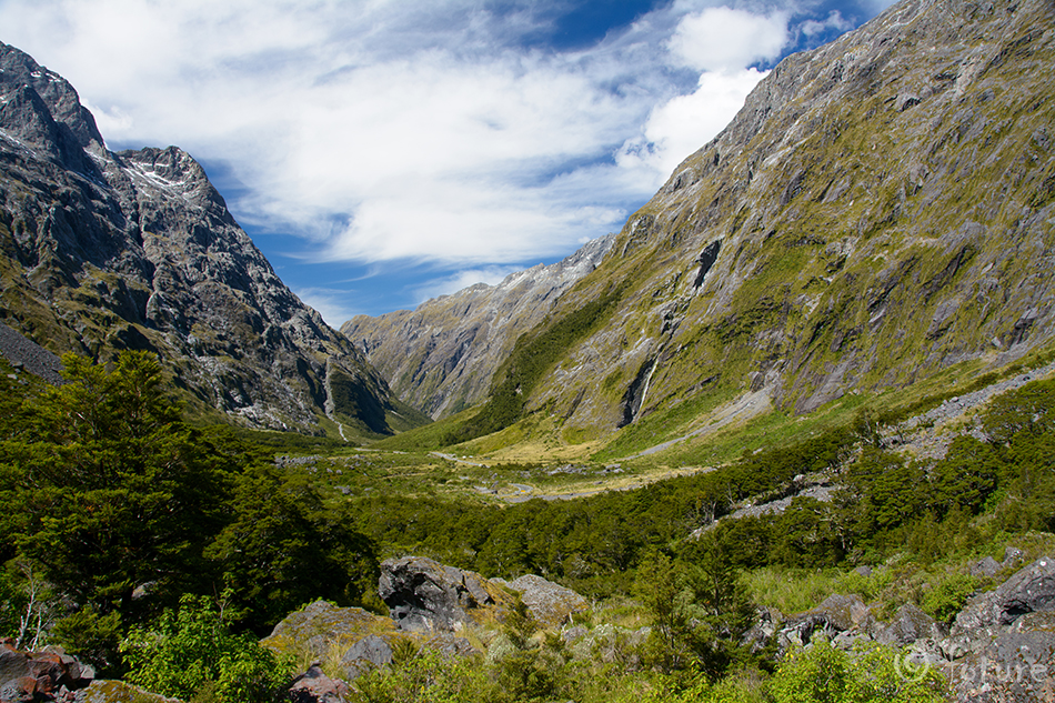 Fiordland, New Zealand