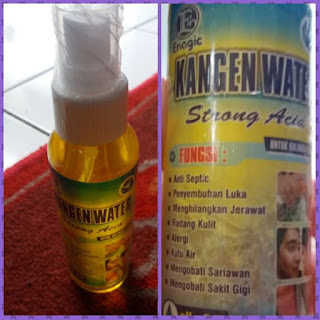 jual strong acid kangen water bandung