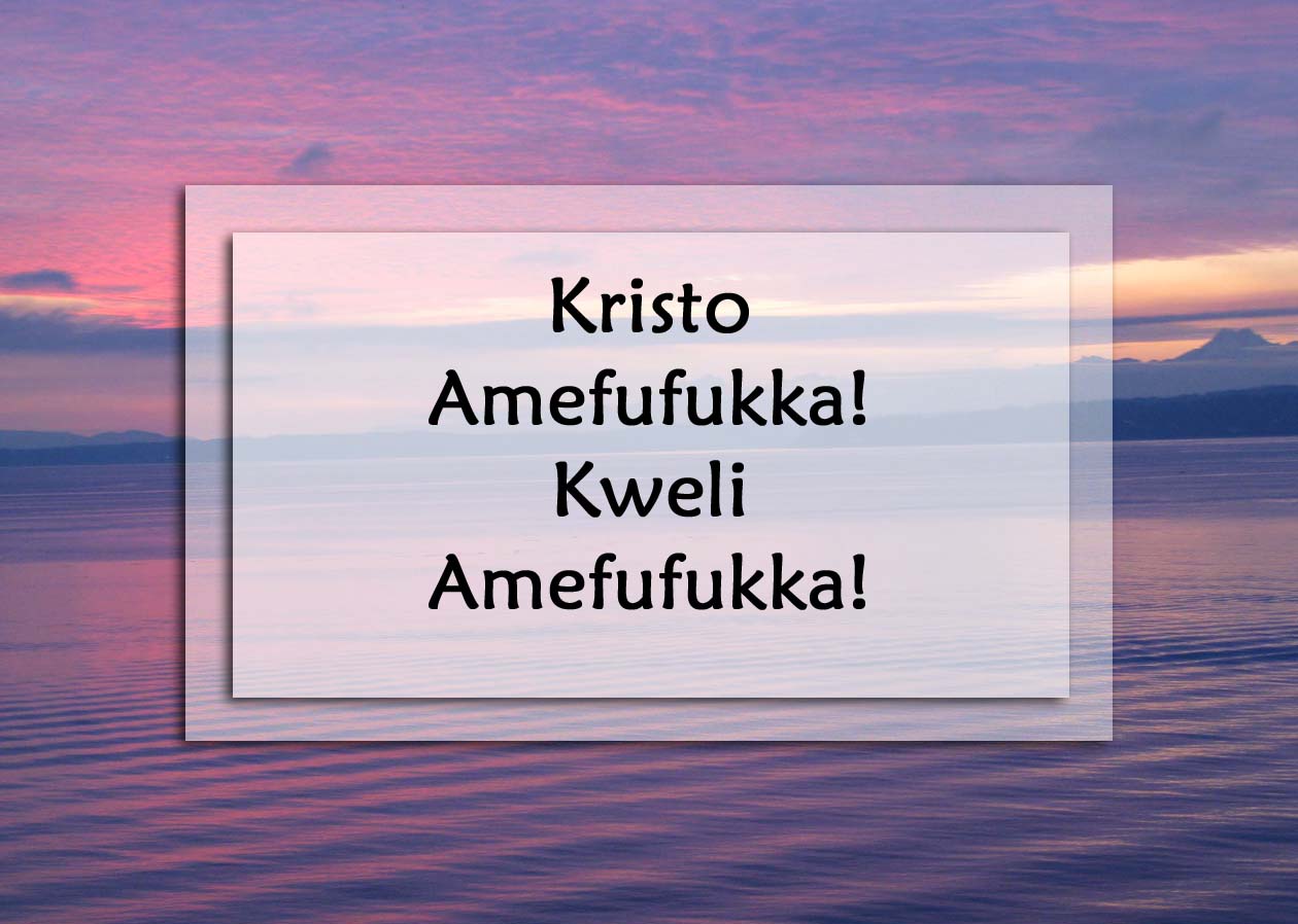 Funny Swahili Sayings