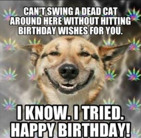 Hilarious Dog Birthday Meme